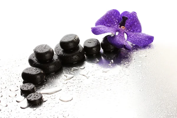 Pierres de spa et fleur violette, sur fond humide — Photo