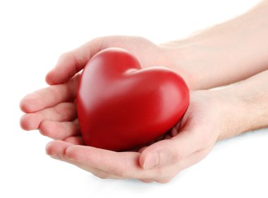 Red heart in man hands, isolated on white clipart