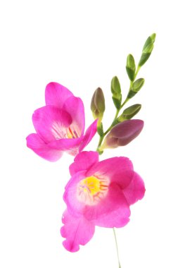 římské číslo jedna značka ikona. římské číslo jedna symbol. Metro styl tlačítka. moderní rozhraní webové stránky tlačítka s rukou kurzor ukazatel