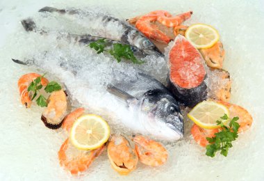 buz üstünde taze deniz ürünleri