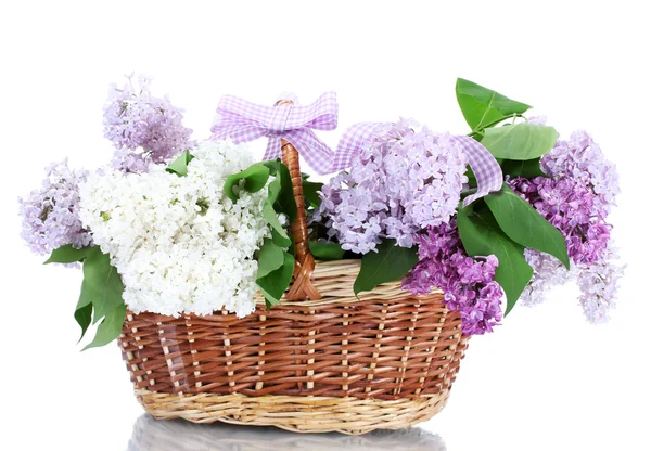 Красивые сиреневые цветы в корзине изолированы на белом — стоковое фото