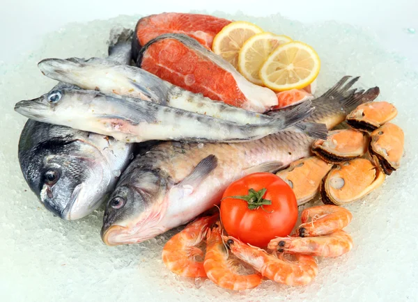 Fresh seafood on ice — Stock Photo, Image