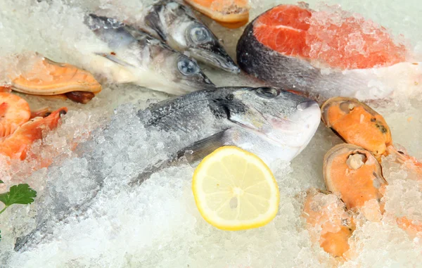 Fresh seafood on ice — Stock Photo, Image