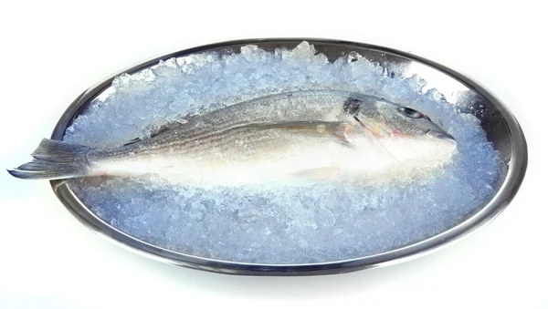 Čerstvé ryby Dorado na zásobník izolovaných na bílém — Stock fotografie