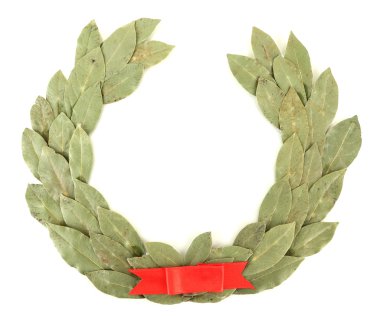 beyaz izole bir defne çelengi