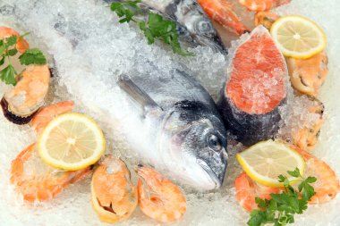 buz üstünde taze deniz ürünleri