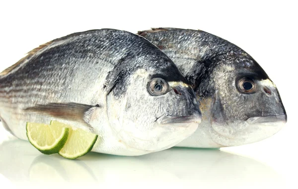 Дві риби дорадо з лимоном ізольовані на білому — стокове фото