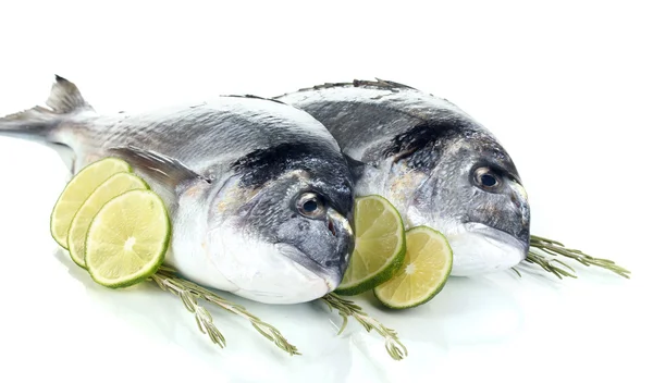 Due dorado di pesce con limone isolato su bianco — Foto Stock