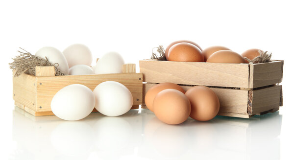 Many eggs in boxes isolated on white