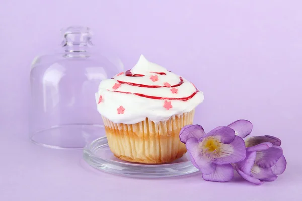 Cupcake auf Untertasse mit Glasabdeckung, auf farbigem Hintergrund — Stockfoto