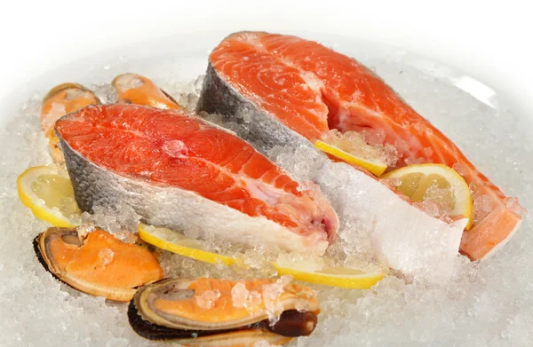 Pieces of red fish on ice in plate isolated on white — Stock Photo, Image