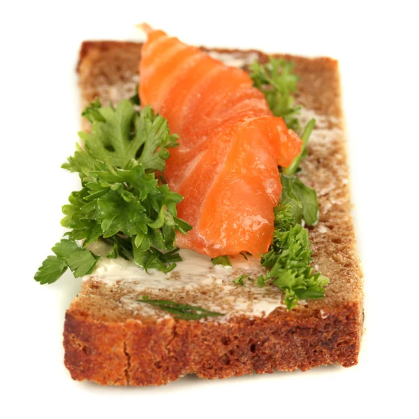 Zalm sandwich op plaat, close-up — Stockfoto