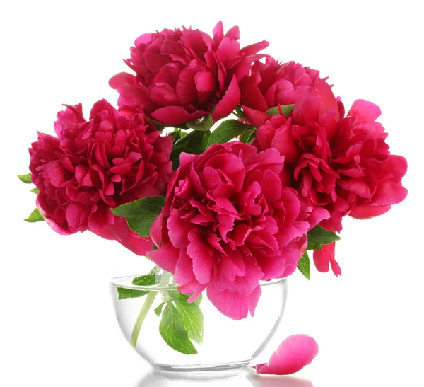 Belles pivoines roses dans un vase en verre isolé sur blanc — Photo