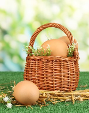 doğal zemin üzerine çimenlerin üzerinde sepet yumurta