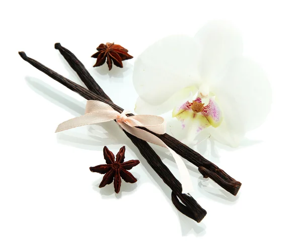Vanilla pods and anise with flower isolated on white — Stock Photo, Image
