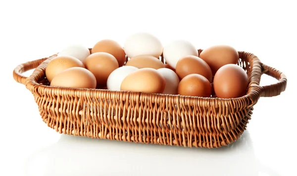 De nombreux œufs dans le panier isolé sur blanc — Photo