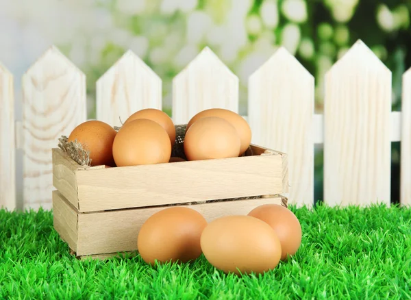 Viele Eier in Schachtel auf Gras auf hellem Hintergrund — Stockfoto