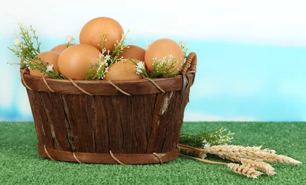 Eieren in een mand op gras op blauwe natuurlijke achtergrond — Stockfoto