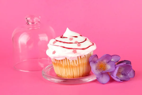 Cupcake på tefat med glaskupa, på färgbakgrund — Stockfoto