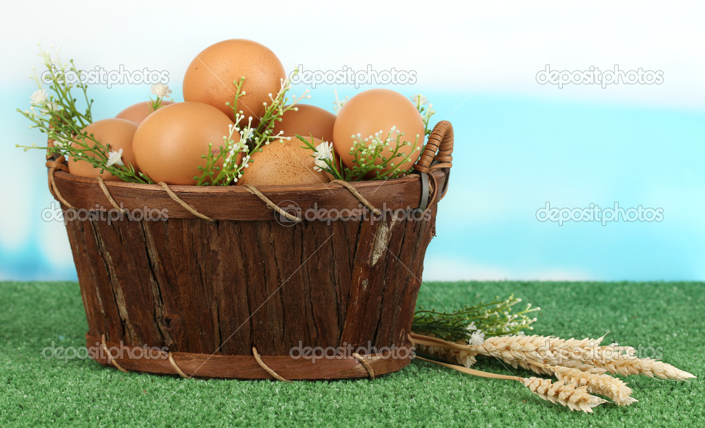 Eggs in basket on grass on blue natural background