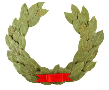 beyaz izole bir defne çelengi