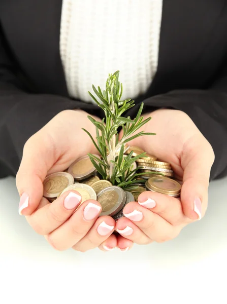 Frauenhände mit grüner Pflanze und Münzen auf weißem Grund — Stockfoto