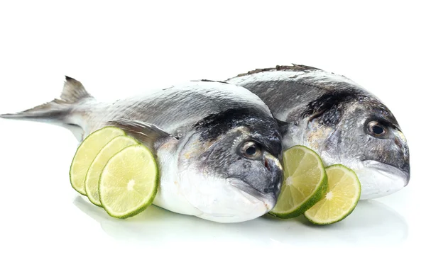 Dwie ryby dorado z cytryny na białym tle — Zdjęcie stockowe
