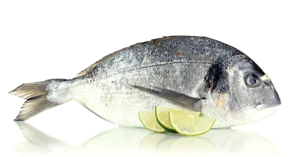 Dorado poisson au citron isolé sur blanc — Photo