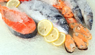 buz üstünde taze deniz ürünleri