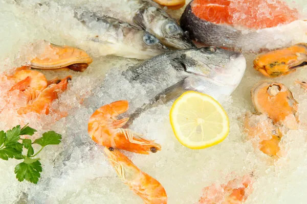 buz üstünde taze deniz ürünleri