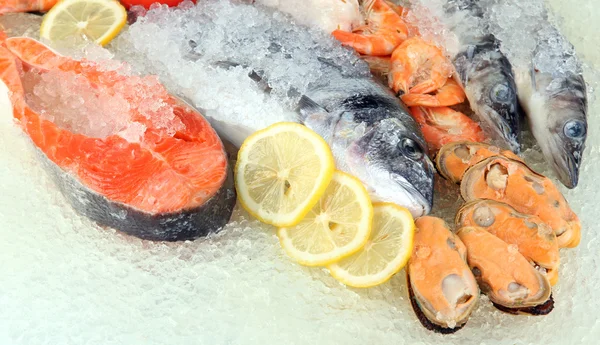 buz üstünde taze deniz ürünleri