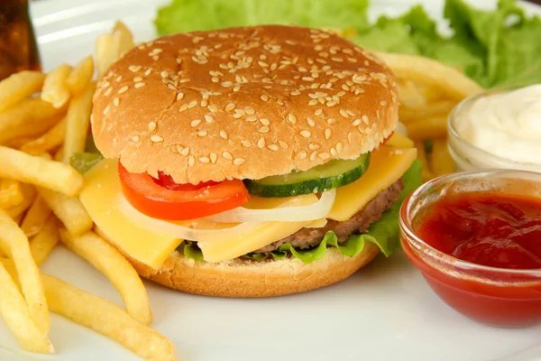 parlak zemin üzerine kızarmış patates ile lezzetli peynirli burger