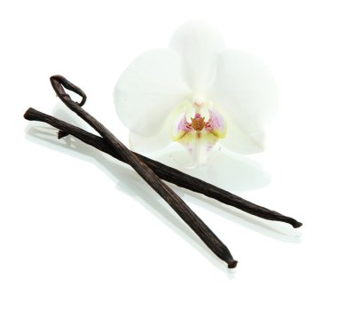 çiçekli beyaz izole vanilya pods