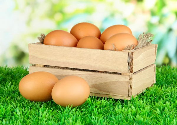 Много яиц в коробке на траве на ярком фоне — стоковое фото