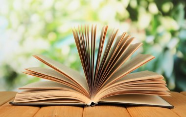parlak zemin üzerine açık kitap
