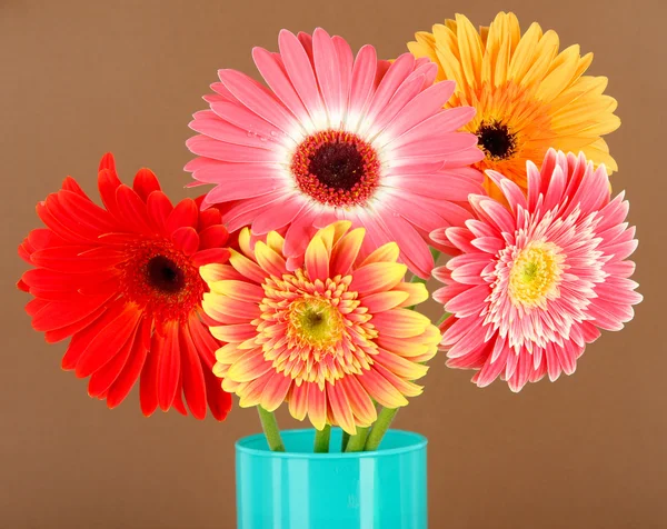 Όμορφη gerber λουλούδια σε καφέ φόντο — Φωτογραφία Αρχείου