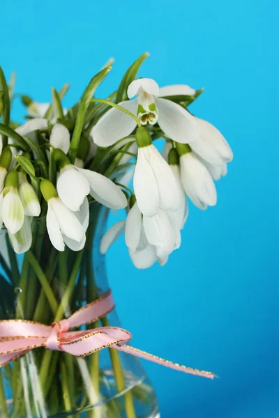 Bouquet of snowdrop flowers in glass vase, on color background — Stock Photo, Image
