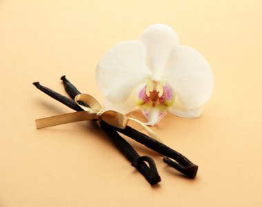 bej renkli arka plan üzerinde çiçek ile vanilya pods