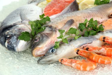 buz üstünde taze deniz ürünleri