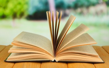 parlak zemin üzerine açık kitap