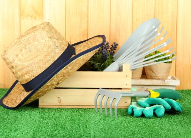 bahçede çimlerin üzerine Bahçe aletleri