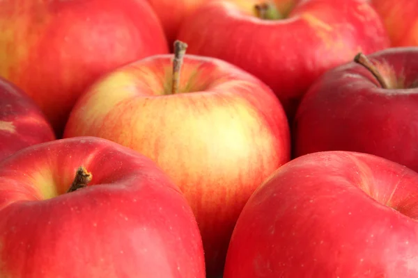 Juicy red apples, close up — Stock Photo, Image