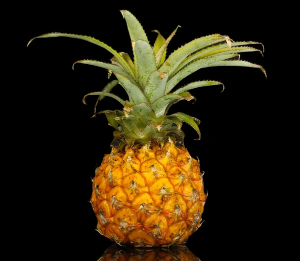 Olgun ananas siyah izole — Stok fotoğraf