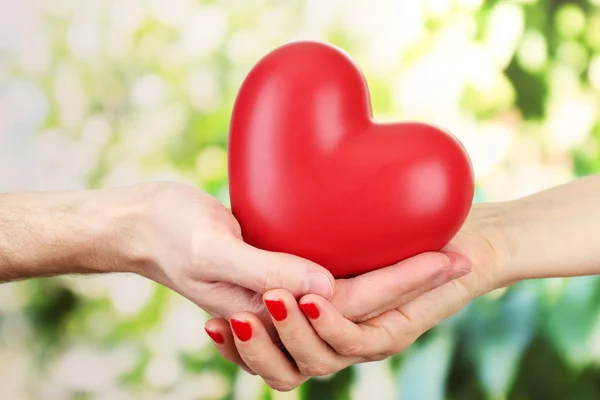 Red heart in woman and man hands, on green background — Stock Photo, Image