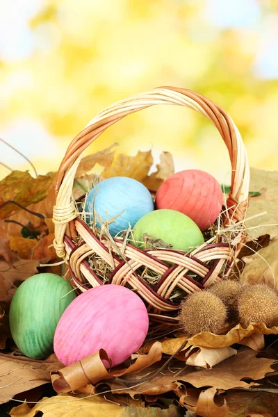 Huevos de Pascua en canasta de mimbre escondidos en hojas — Foto de Stock