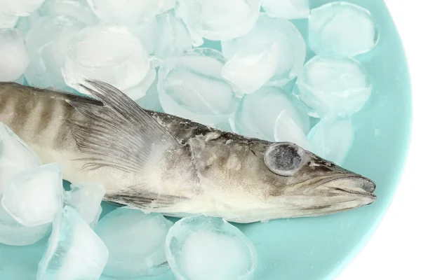 Gefrorenen Fisch im Teller mit Eis isoliert auf weiß — Stockfoto