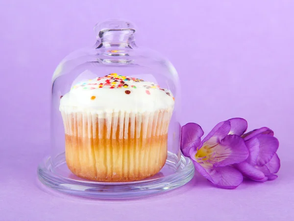 Cupcake on saucer with glass cover, on color background — Stock Photo, Image