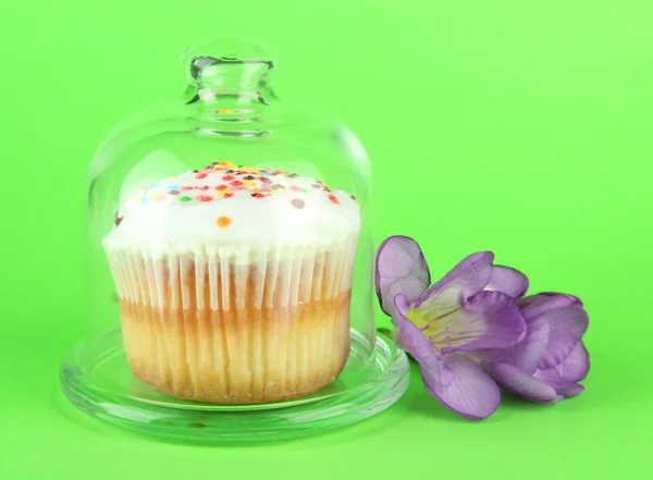 Cupcake on saucer with glass cover, on color background — Stock Photo, Image