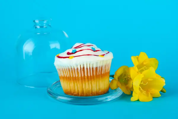 Кекс на блюдце со стеклянной крышкой, на цветном фоне — стоковое фото