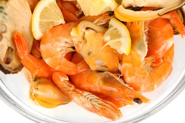 Seafood sallad i skål isolerad på vit — Stockfoto